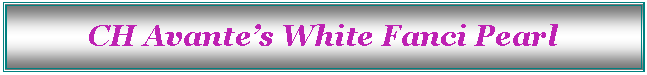 Text Box: CH Avantes White Fanci Pearl