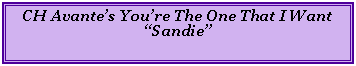 Text Box: CH Avantes Youre The One That I Want Sandie
