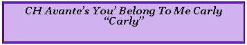 Text Box: CH Avantes You Belong To Me CarlyCarly