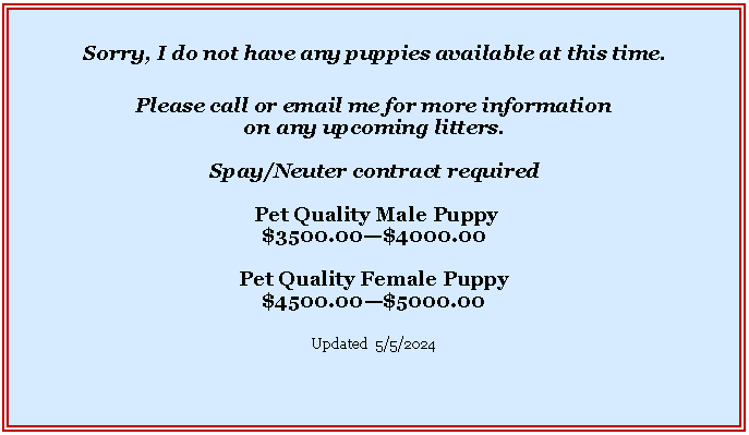 Text Box: Sorry, I do not have any puppies or retirees available at this time.Please call or email me for more information on any upcoming litters.Spay/Neuter contract required Pet Quality Male Puppy  $3500.00$4000.00Pet Quality Female Puppy $4500.00$5000.00Updated  3/2/2024