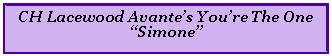 Text Box: CH Lacewood Avantes Youre The One Simone